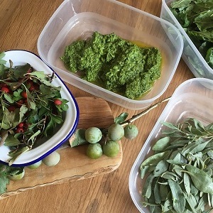 Seashore Pesto